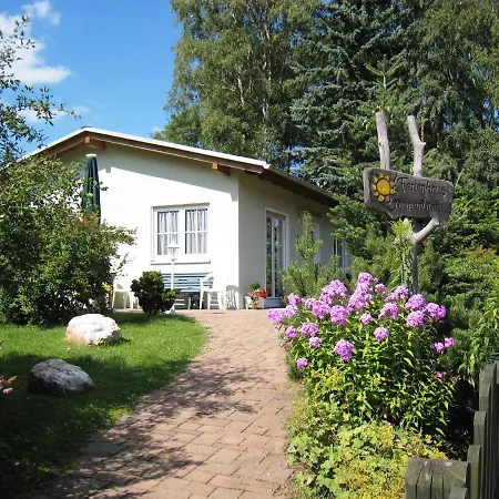 Modish In Sohl With Terrace Apartment Bad Elster